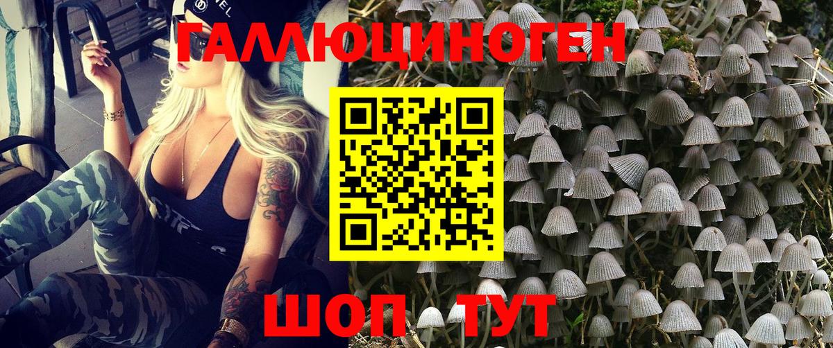 Галлюциногенные грибы Cubensis  Псилоцибиновые грибы мицелий  как найти   Вход с VPN  Каменск-Шахтинский 